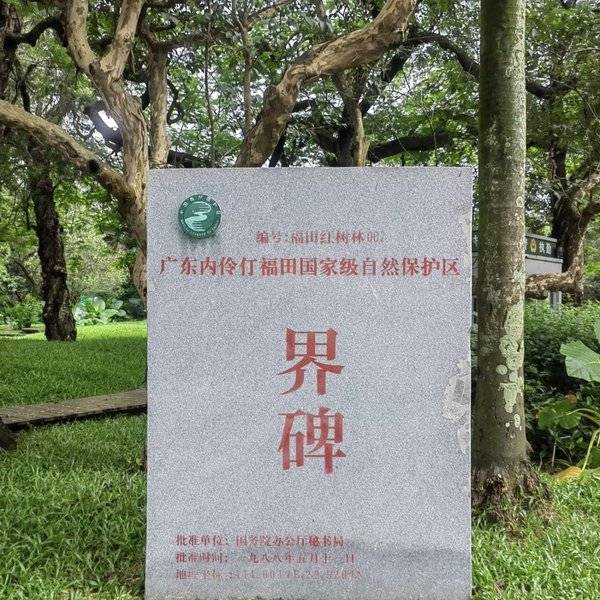 作品图片