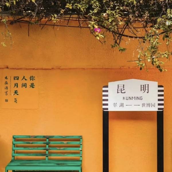 作品图片