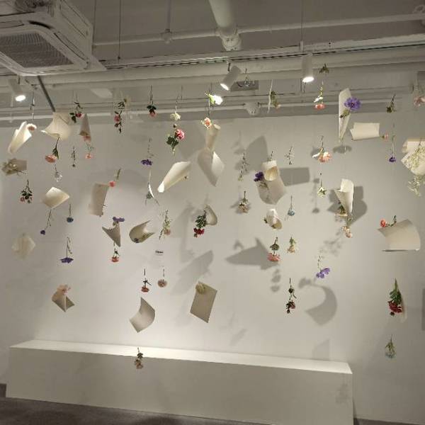 作品图片