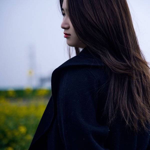 作品图片