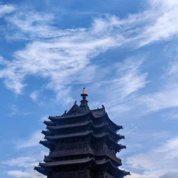 作品图片