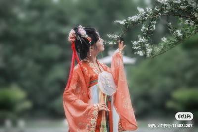 图集