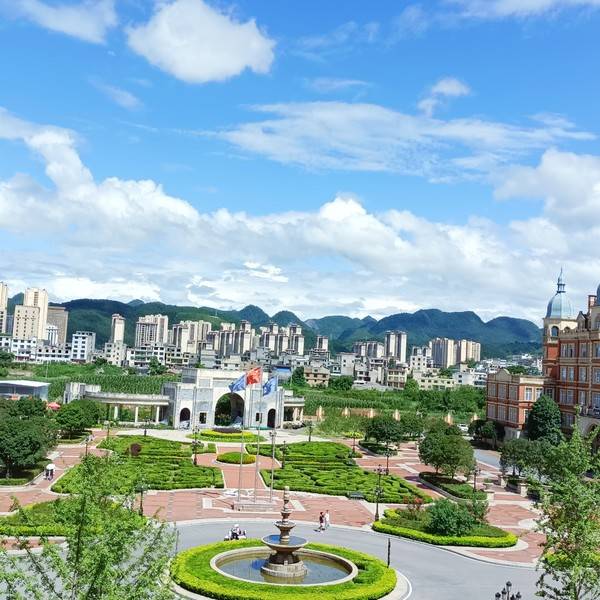 作品图片