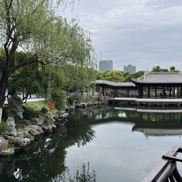 作品图片
