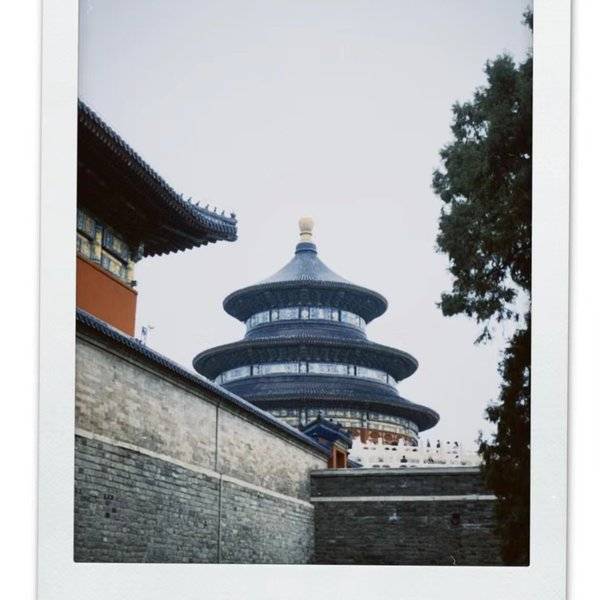 作品图片