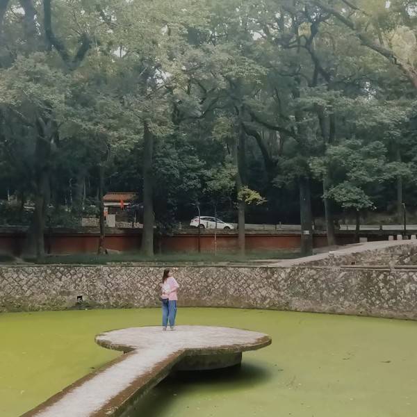 作品图片