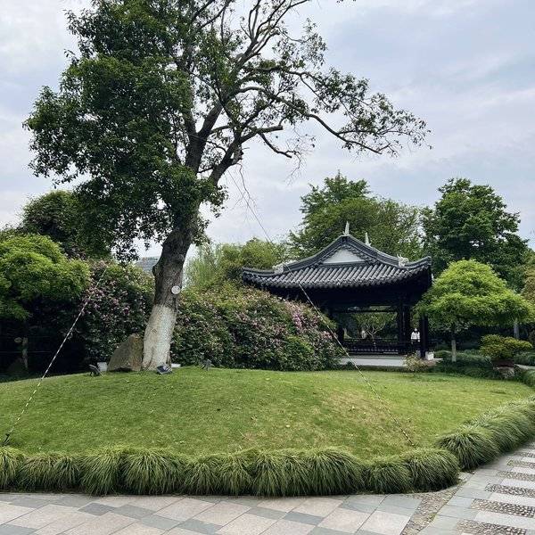 作品图片
