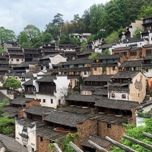 作品图片