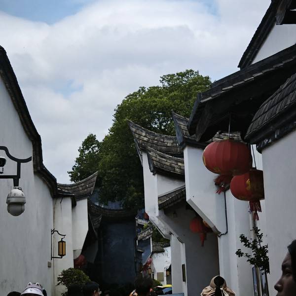 作品图片