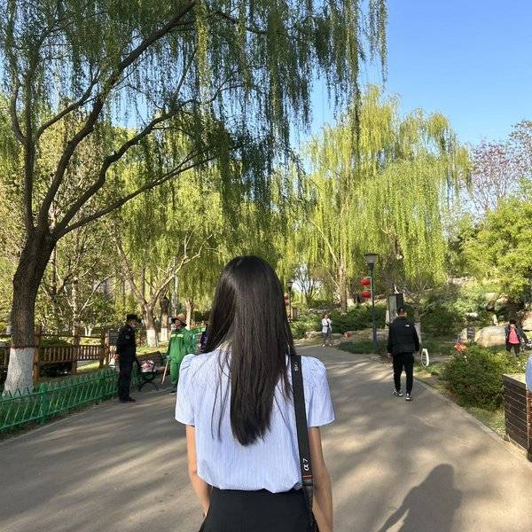 作品图片