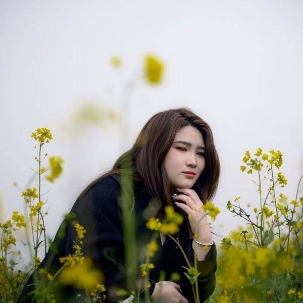 作品图片