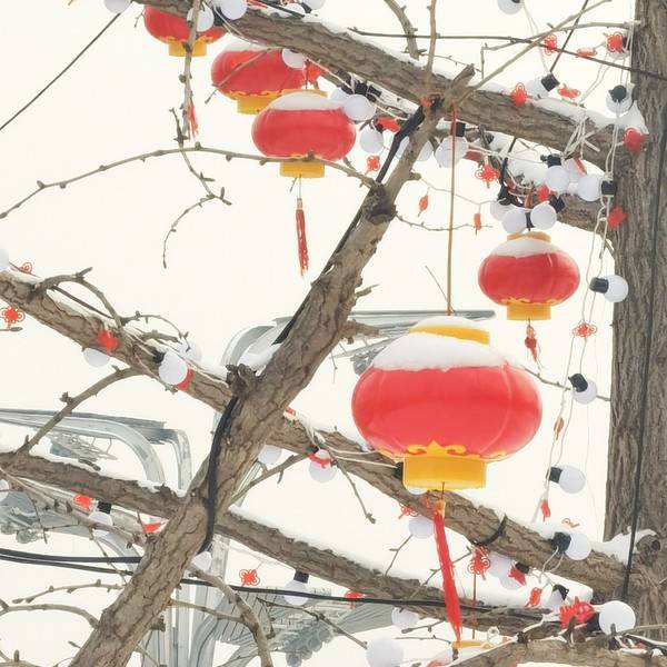 作品图片