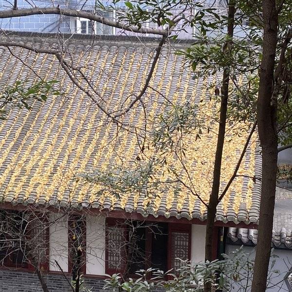 作品图片