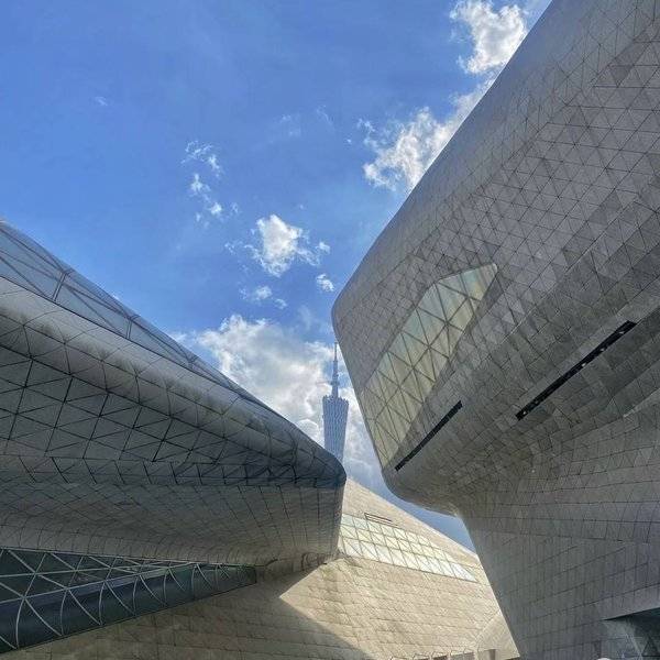 作品图片