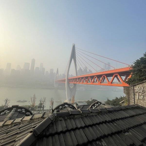 作品图片