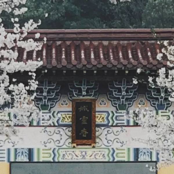 作品图片