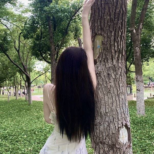 作品图片