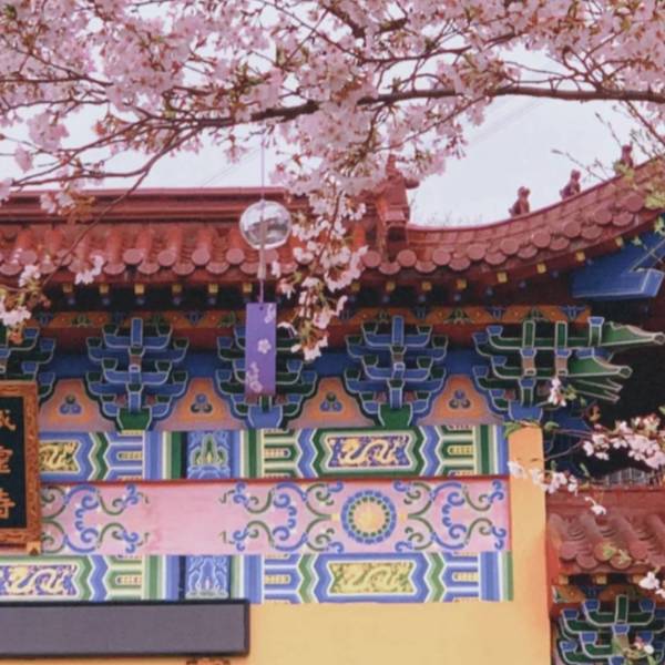 作品图片