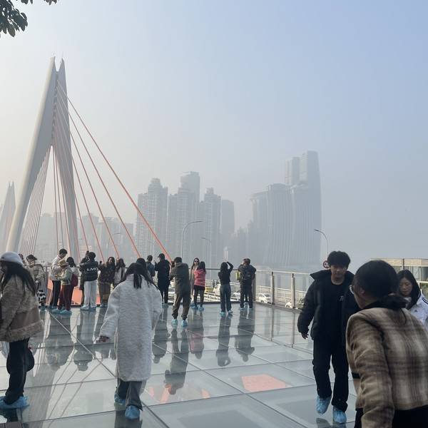 作品图片