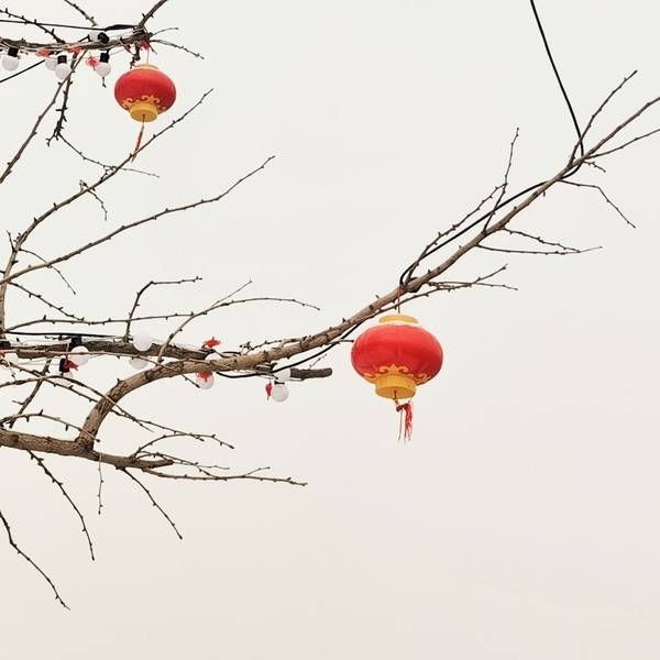 作品图片