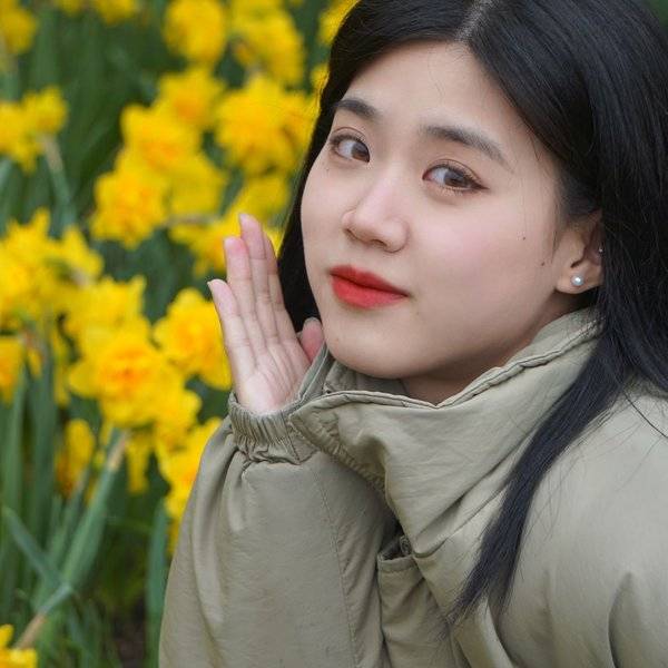 作品图片