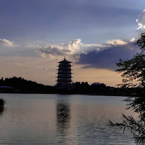 作品图片