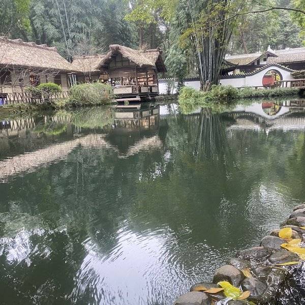 作品图片