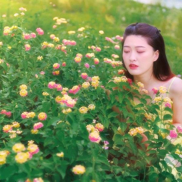 作品图片