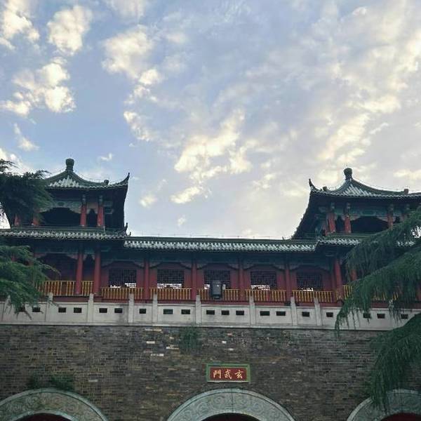 作品图片