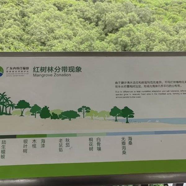 作品图片