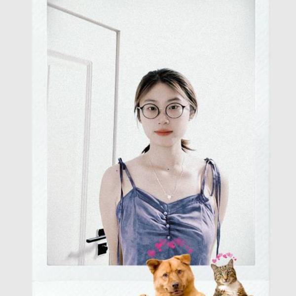 作品图片