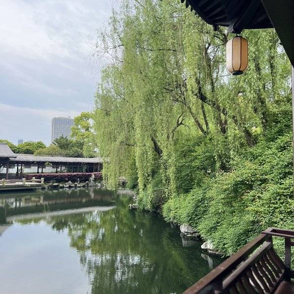 作品图片