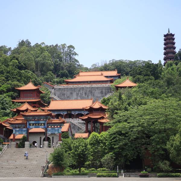作品图片