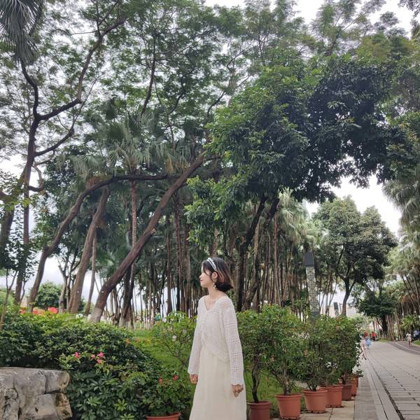 作品图片
