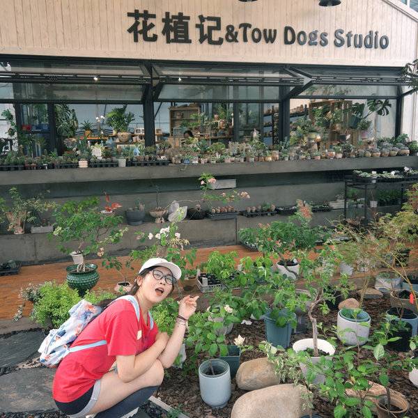 作品图片