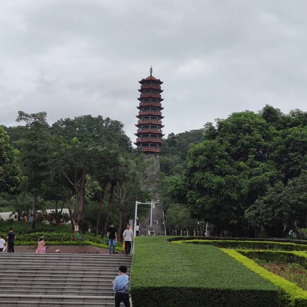 作品图片