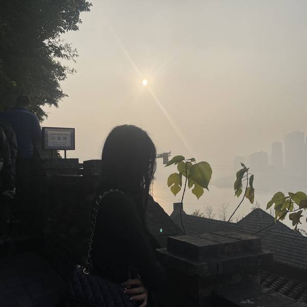 作品图片