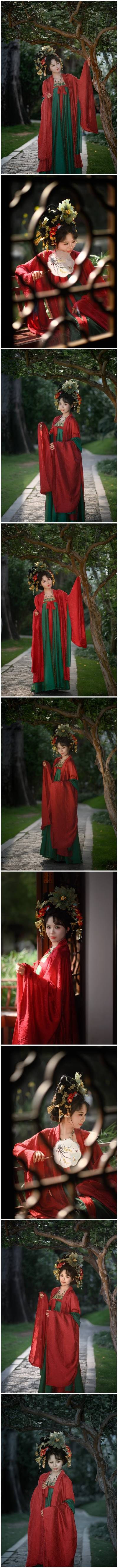 图集