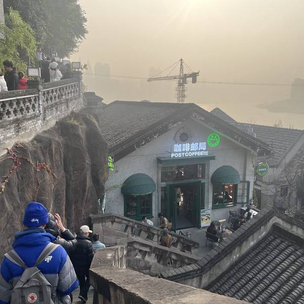 作品图片